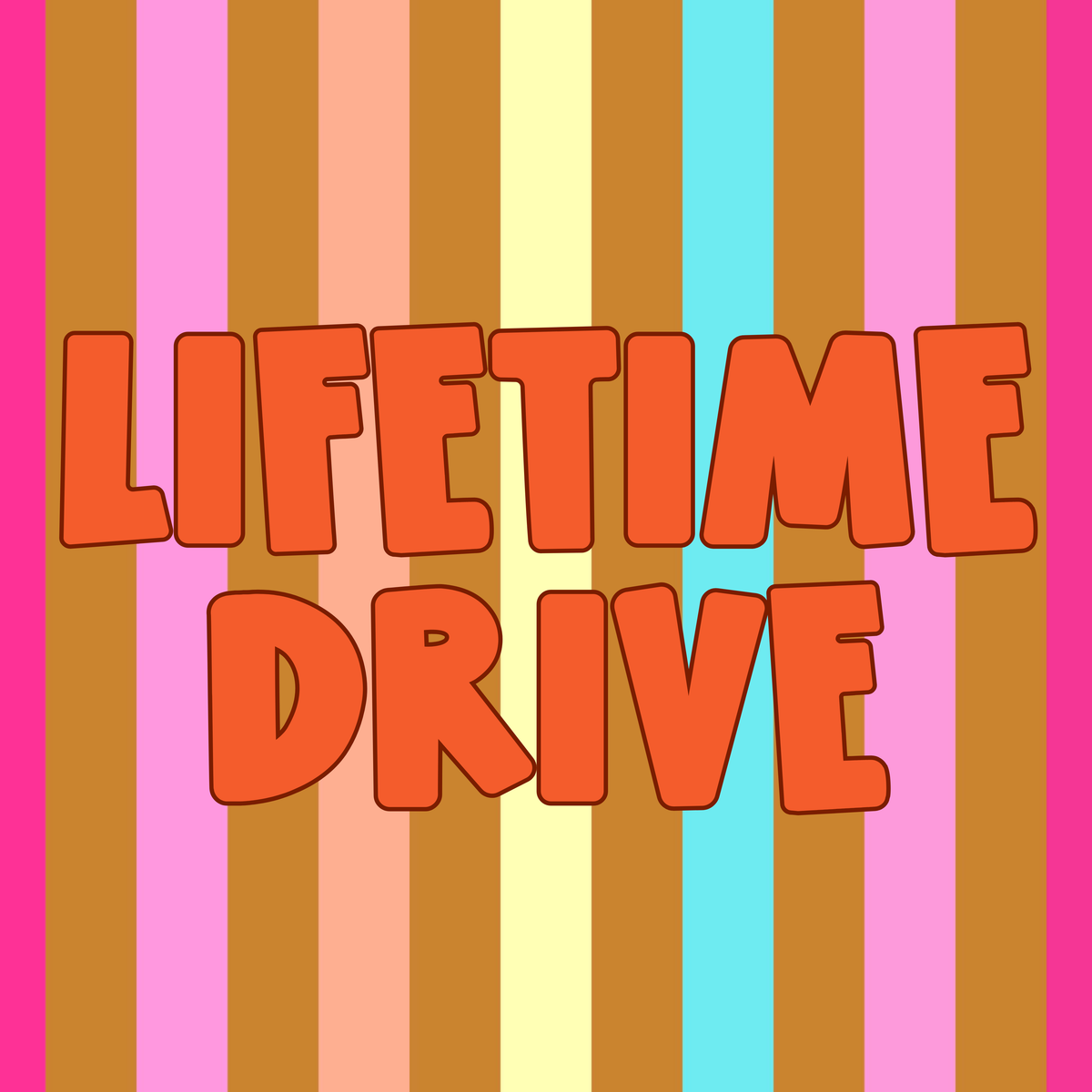 LIFETIME DRIVE